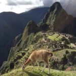 Machu Picchu Tour Valle Sagrado