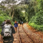 Tour Machu Picchu Por Carro