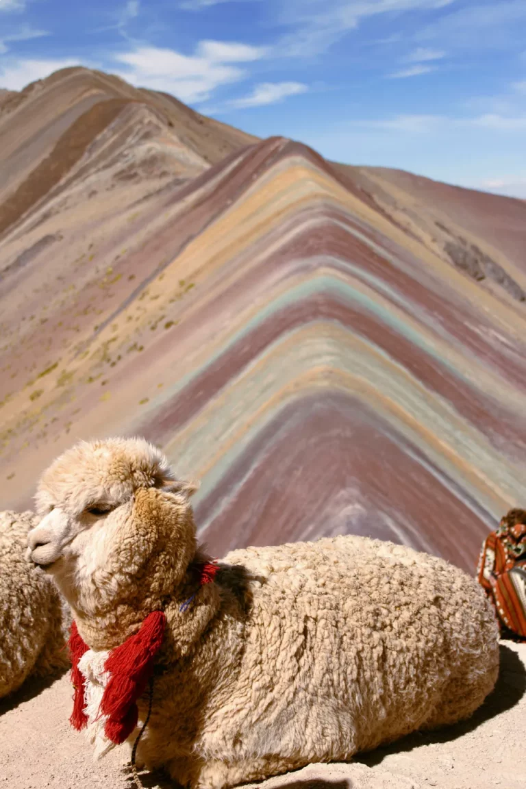 Cuatrimoto en la montaña 7 colores