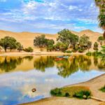 full-day-ica-paracas-huacachina