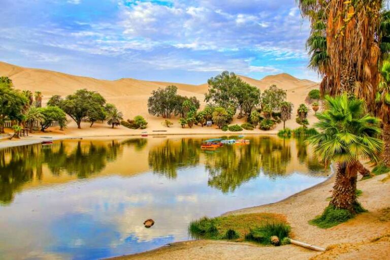 full-day-ica-paracas-huacachina